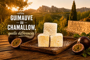 Guimauve ou chamallow : quelles différences ?