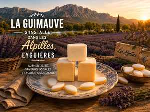 La Guimauverie prend racine dans les Alpilles