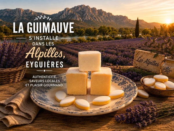 La Guimauverie prend racine dans les Alpilles