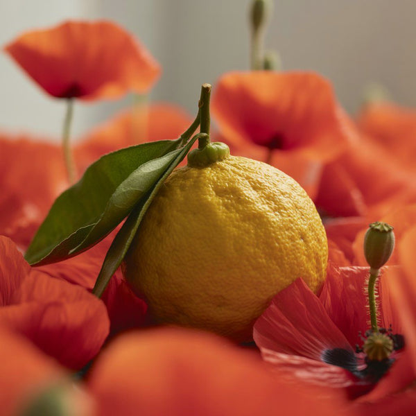 Yuzu Coquelicot